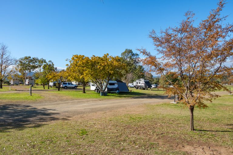 Generator Powered Sites