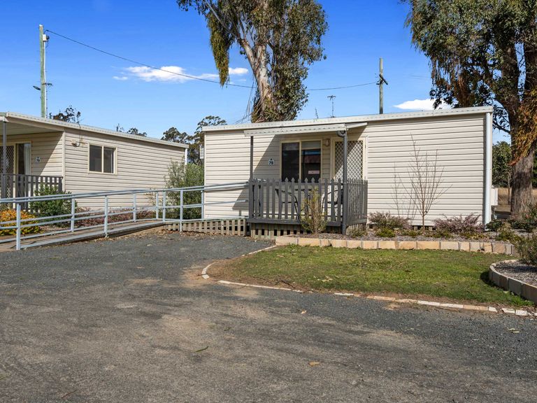 Standard Unit - Pet Friendly